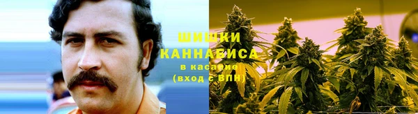 PSILOCYBIN Богородск