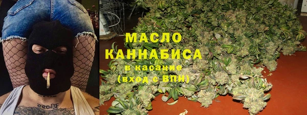 индика Новокубанск