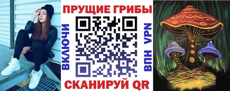 Псилоцибиновые грибы мицелий  Долинск 